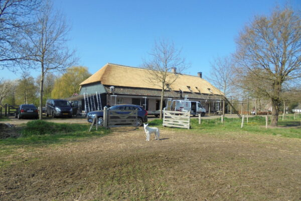 Rietendak op vrijstaande woning 17